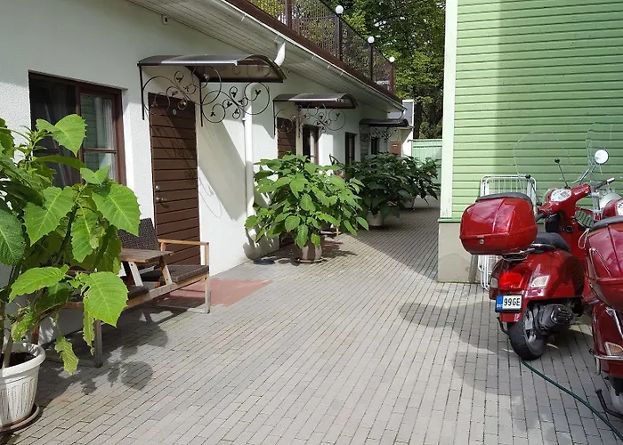 Green فيلة بارنو